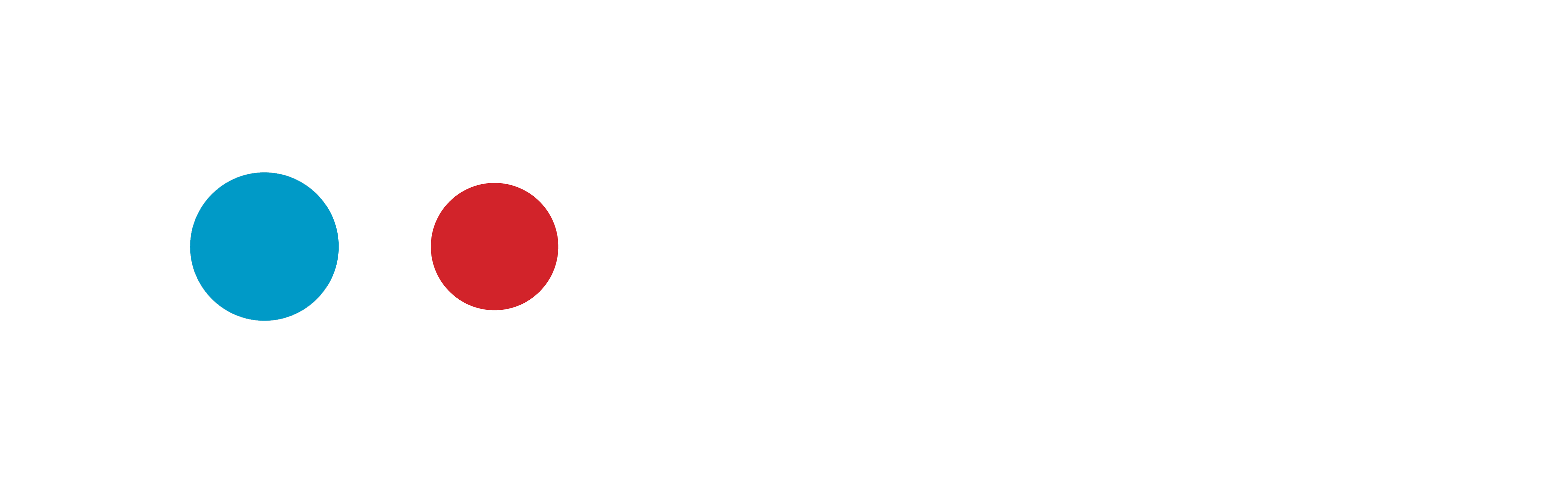 Payload Logo